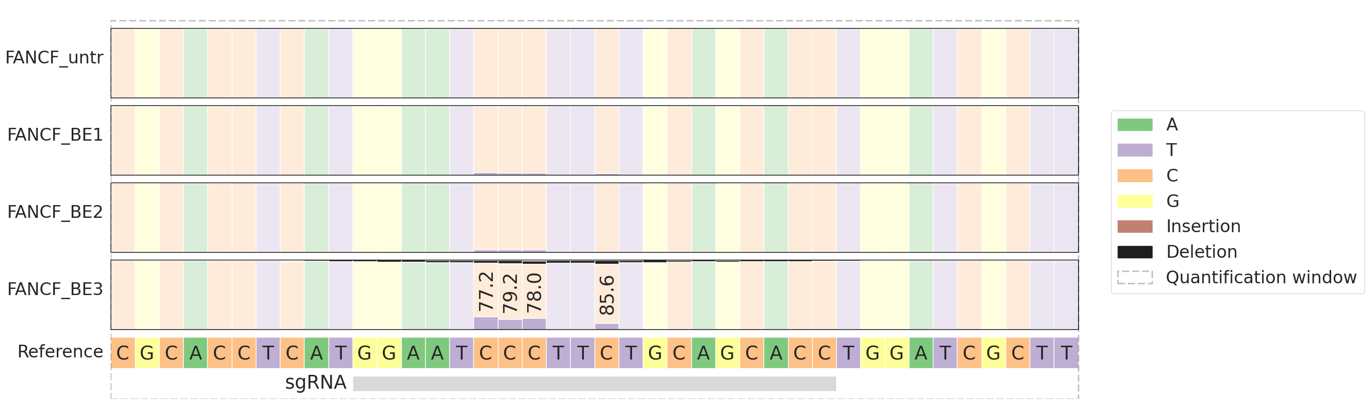 Nucleotide composition across amplicon